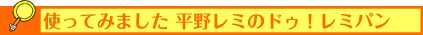 使ってみました平野レミのドゥ!レミパン